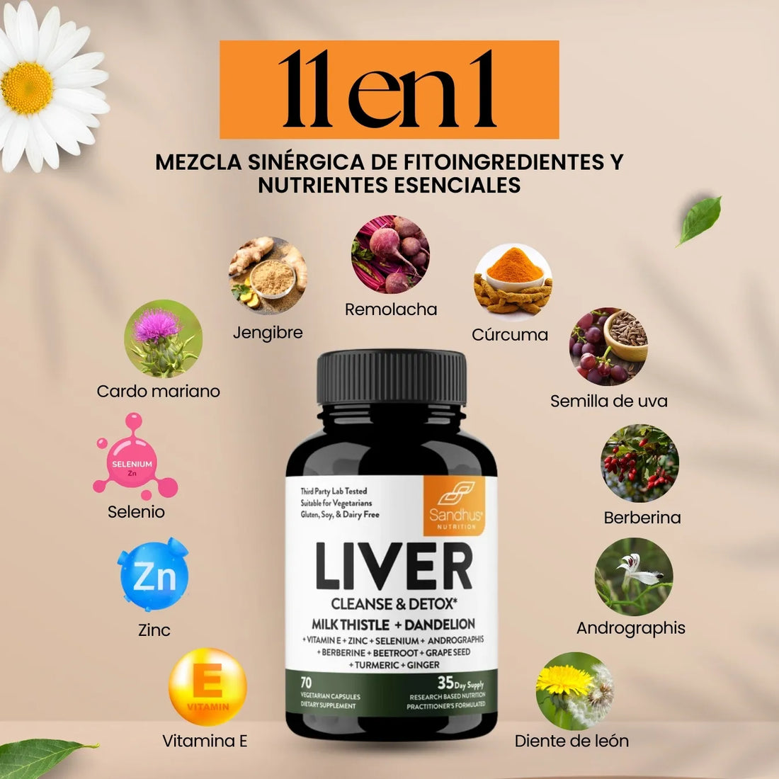 Apoya la desintoxicación natural de tu hígado